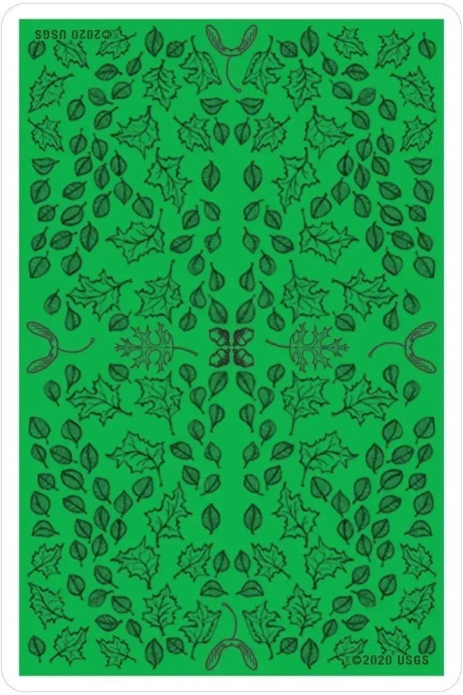 Oracle of the Trees - Back of Card