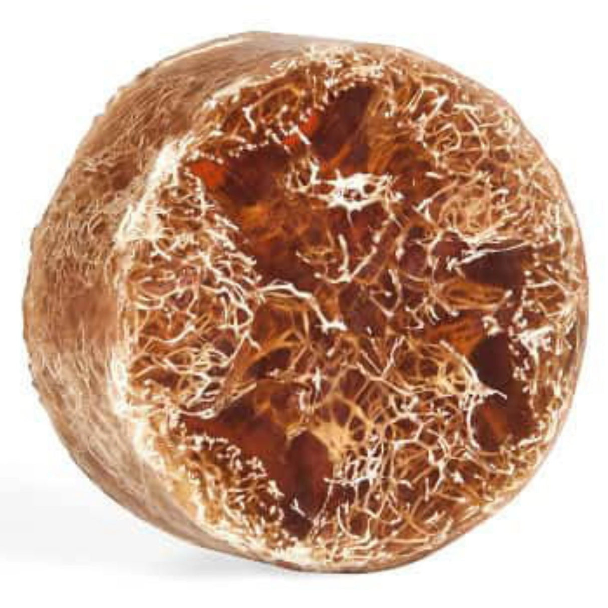 Brown loofah soap bar with oatmeal and honey.