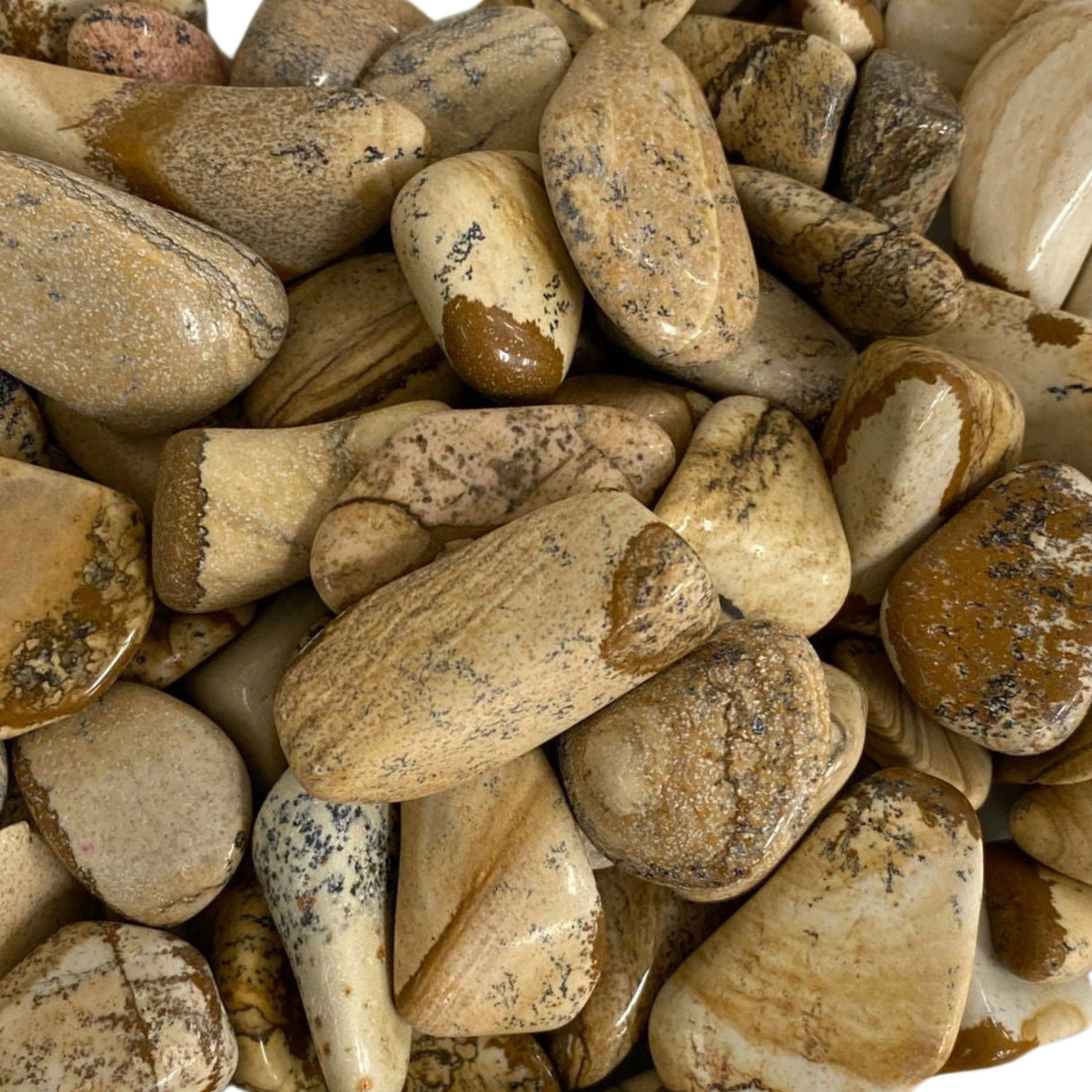Picture Jasper Tumbled