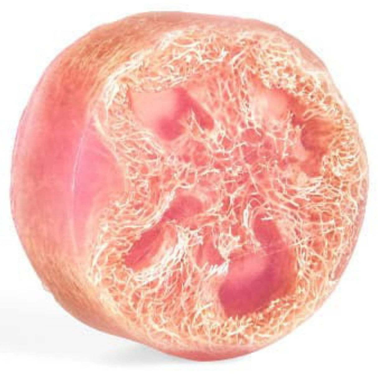 Pink loofah soap with a smooth, spherical shape and visible loofah fibers.