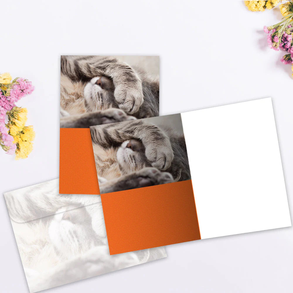 inside same photo blank