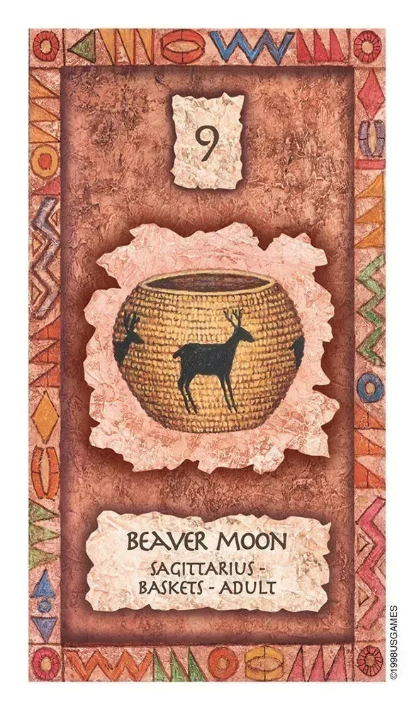 Shaman Wisdom Oracle Cards