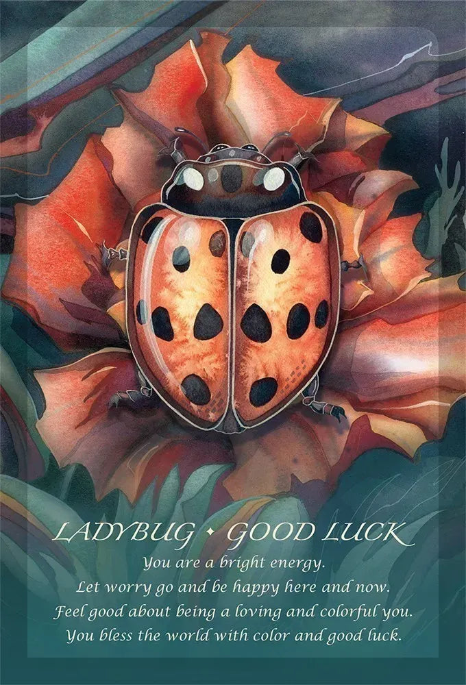 Spirit of the Animals Oracle - Ladybug
