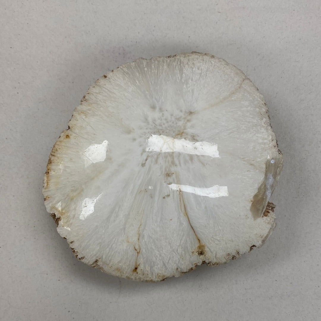 Scolecite Polished & Raw -