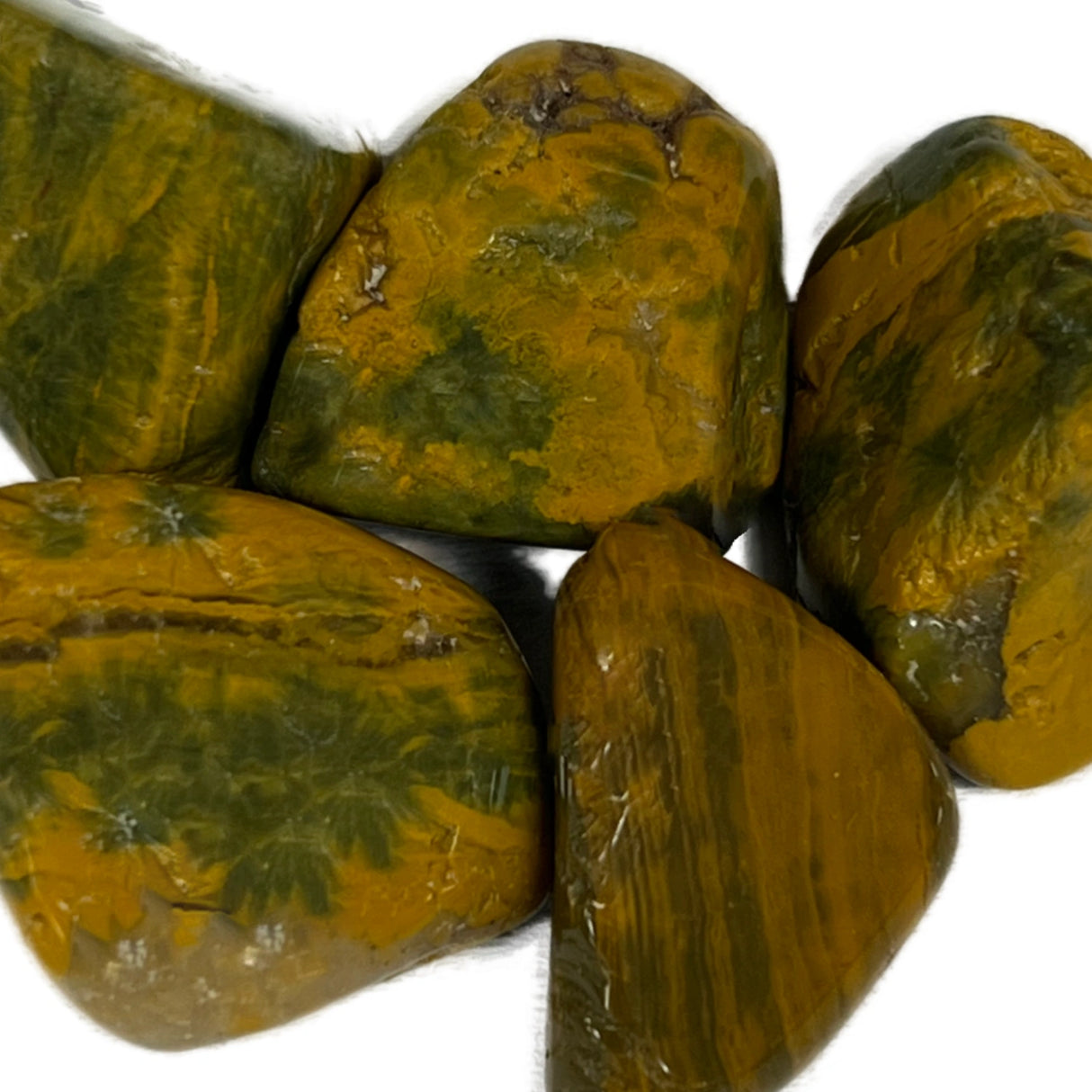 Sea Jasper Tumbled