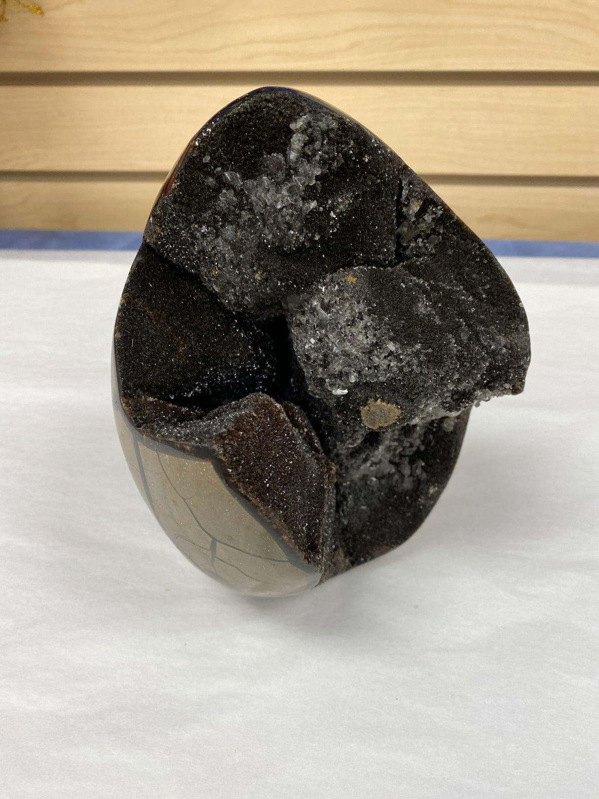 Septarian Geode md -