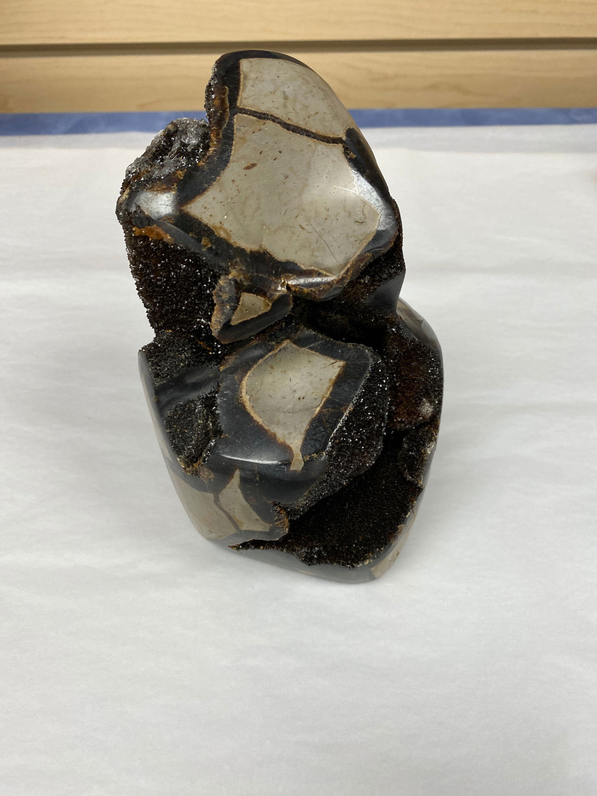 Septarian Geode md -
