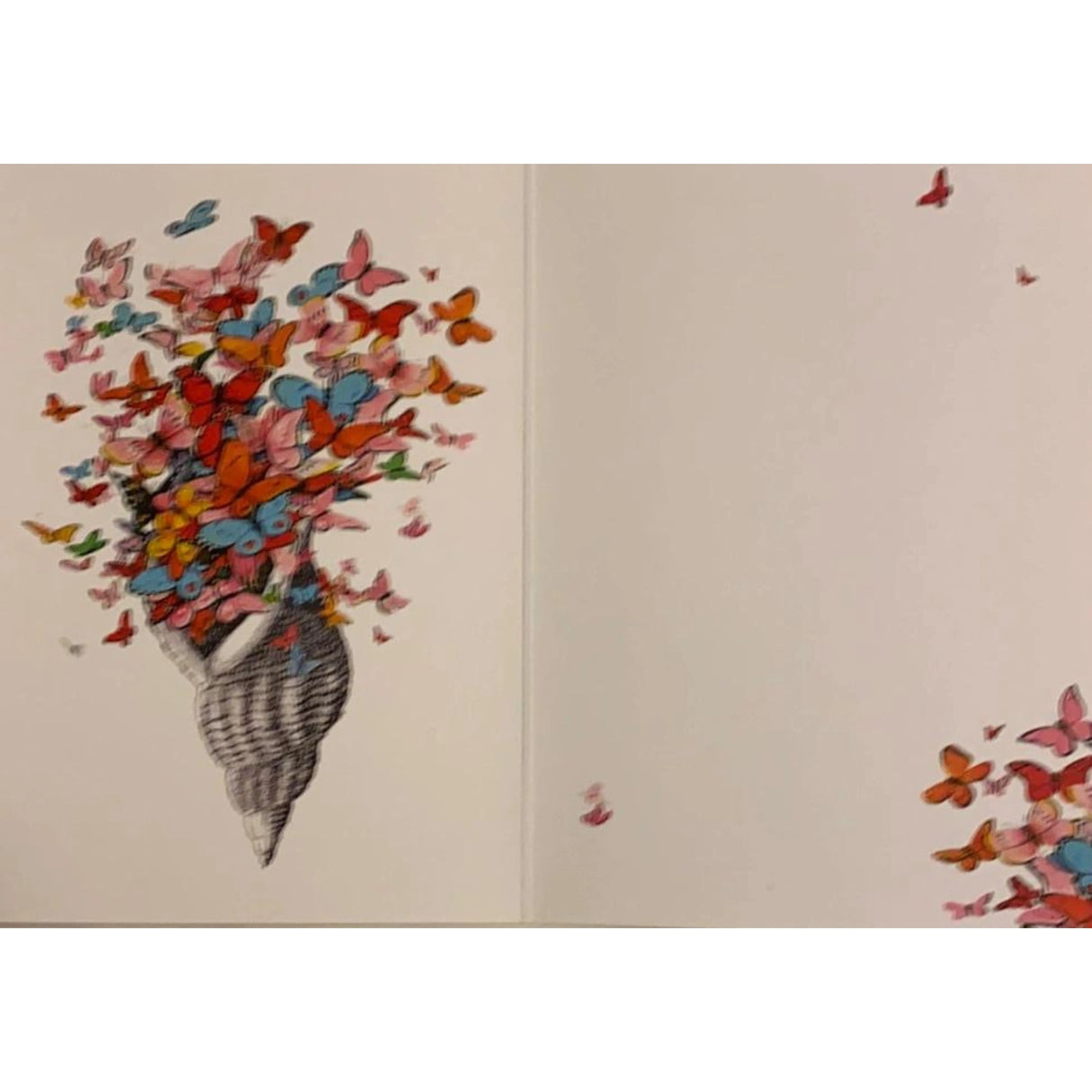 Shell of Joy Greeting Cards
