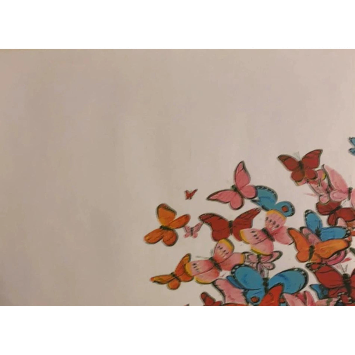 Shell of Joy Greeting Cards