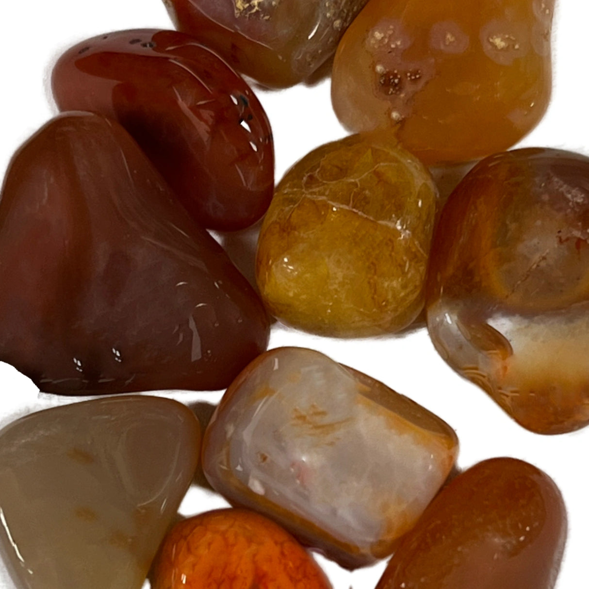 Snake Skin Agate Tumbled