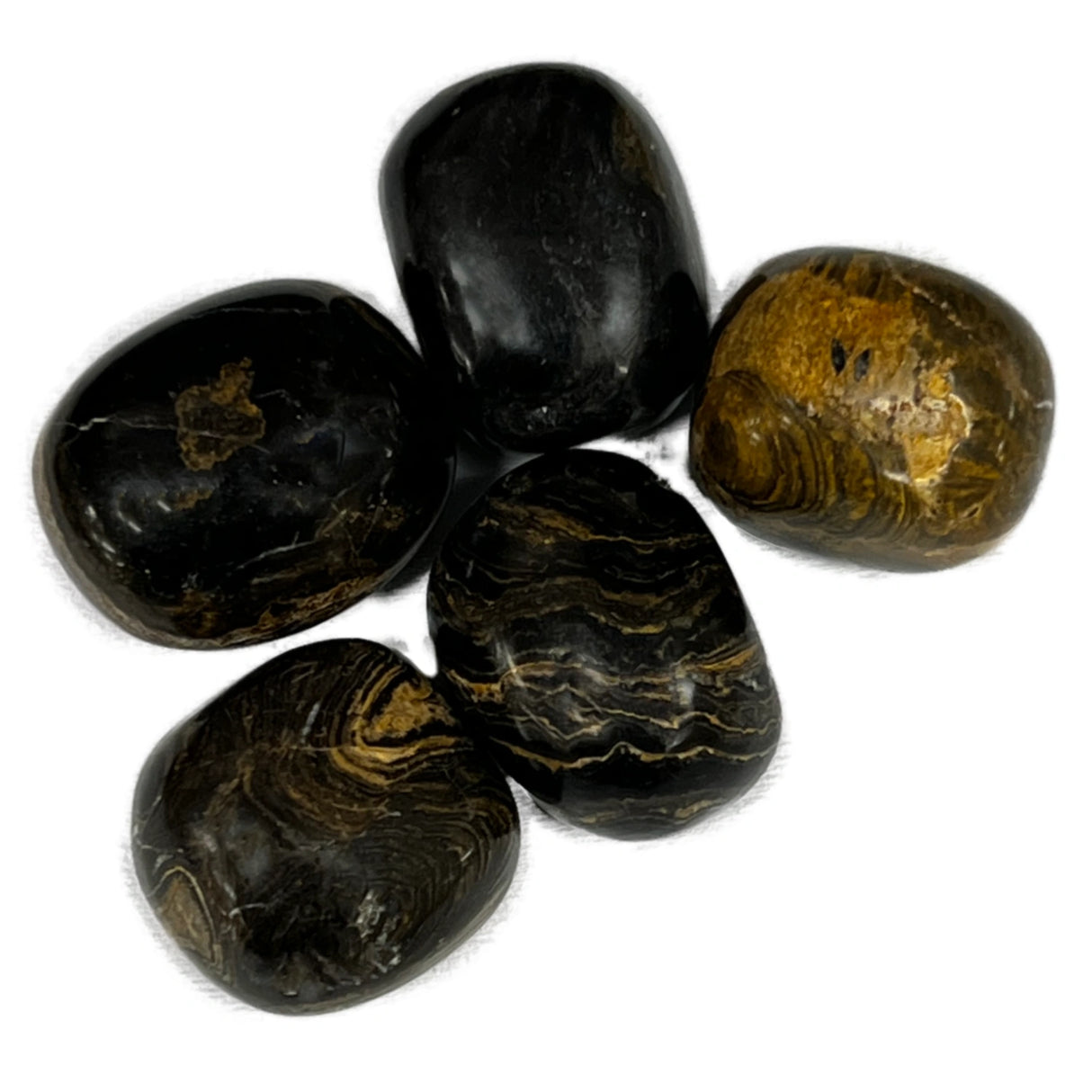 Strombolite Tumbled - dark brown and yellow waves lines through stone