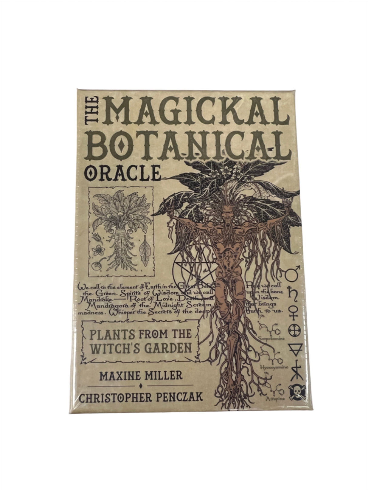 The Magickal Botanical Oracle - Beige colored card box with words The magical Botanical Oracle image of man and plants intertwined