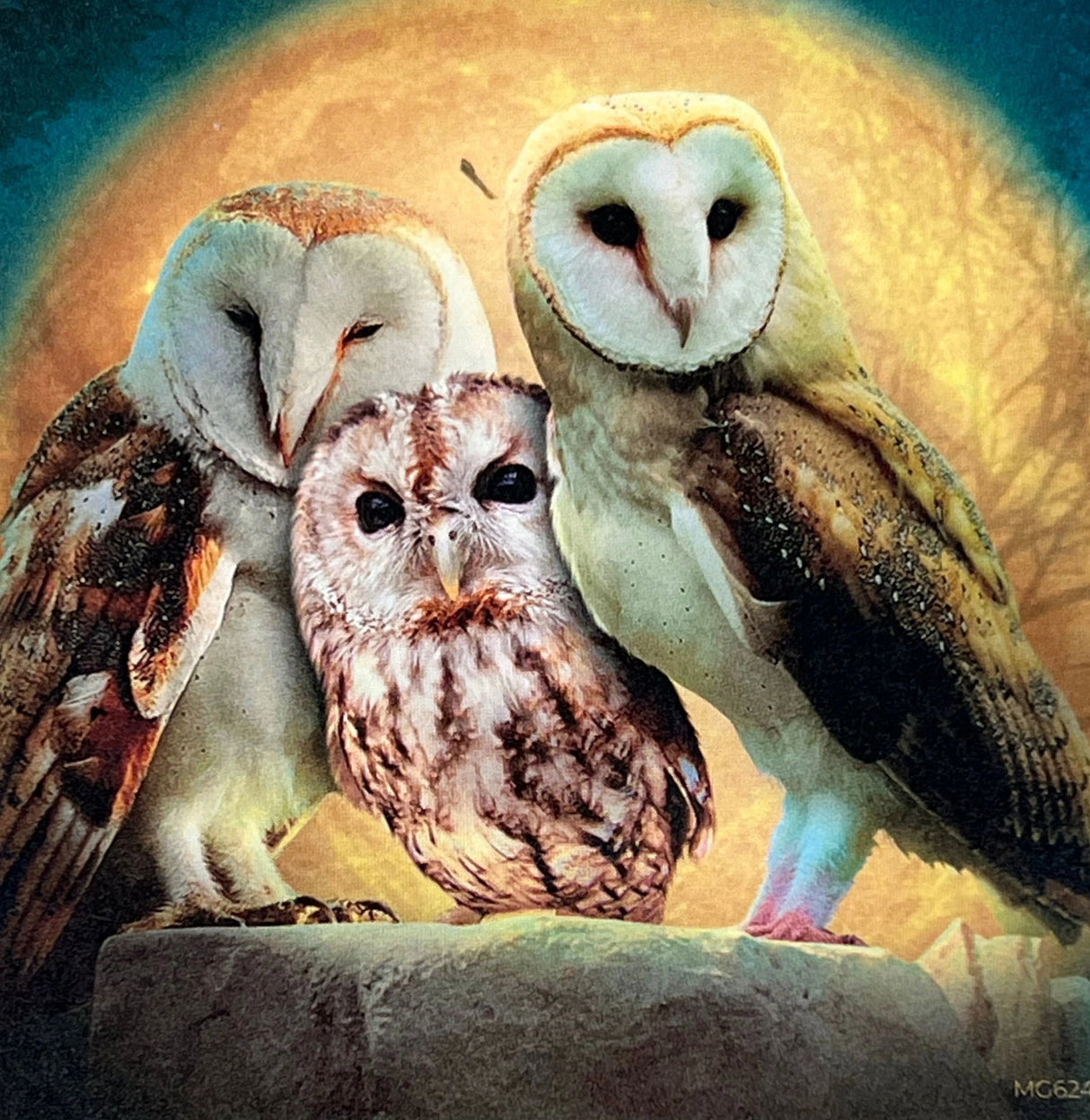 Three owls perched on a rock, with a full moon in the background.