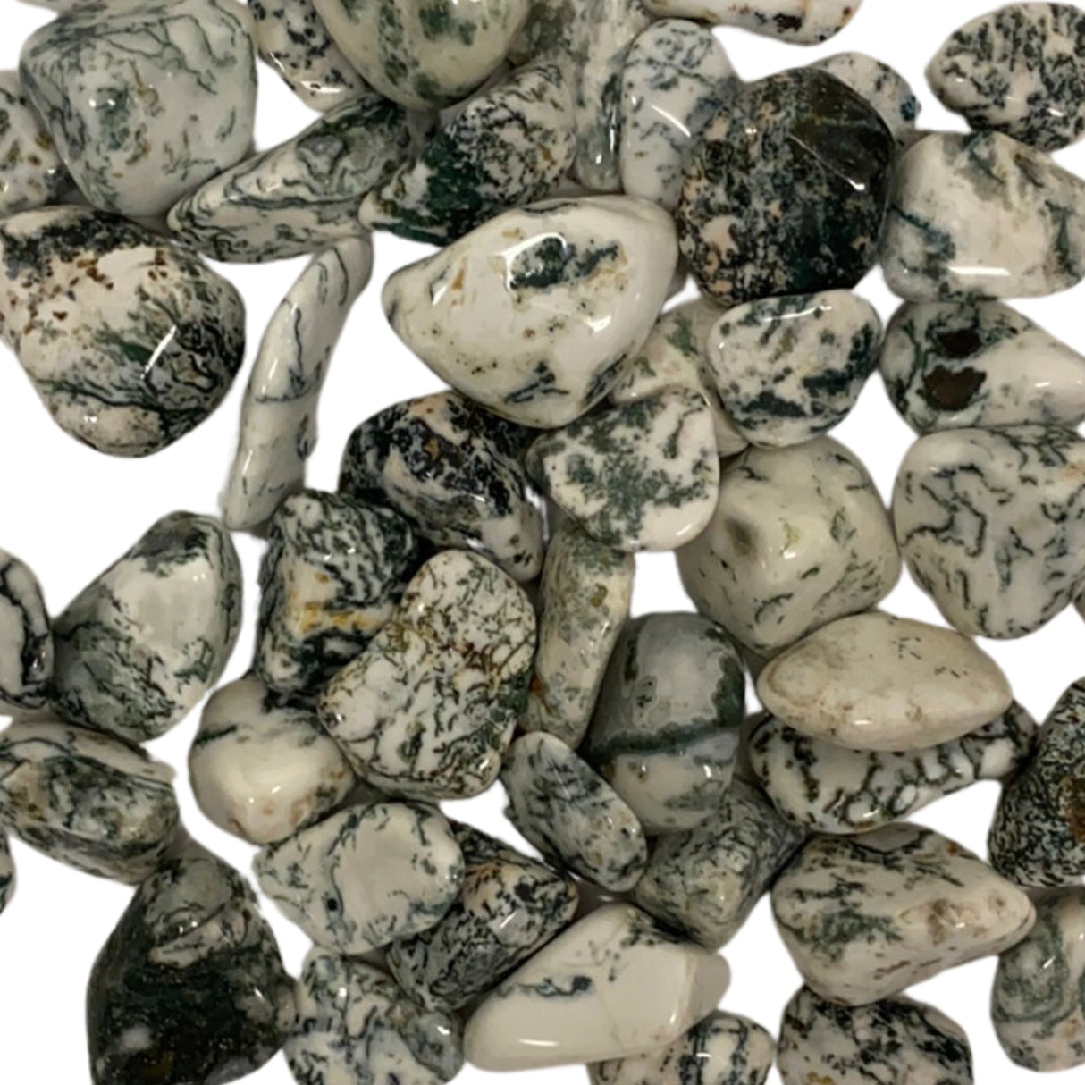 Tree Agate Tumbled