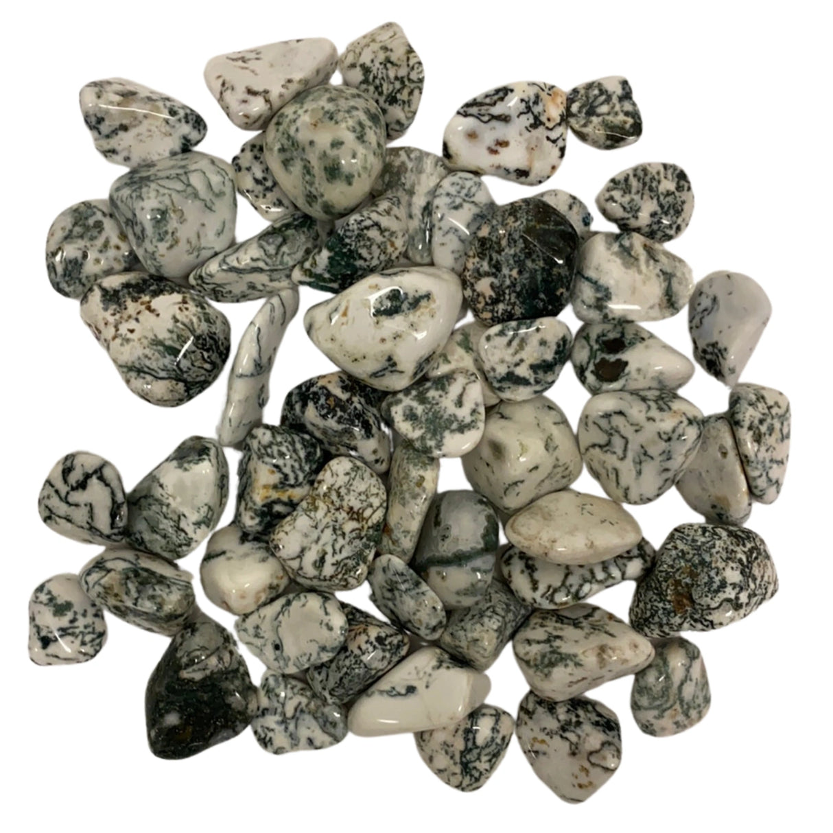 Tree Agate Tumbled - Polished white stones with green patterns.