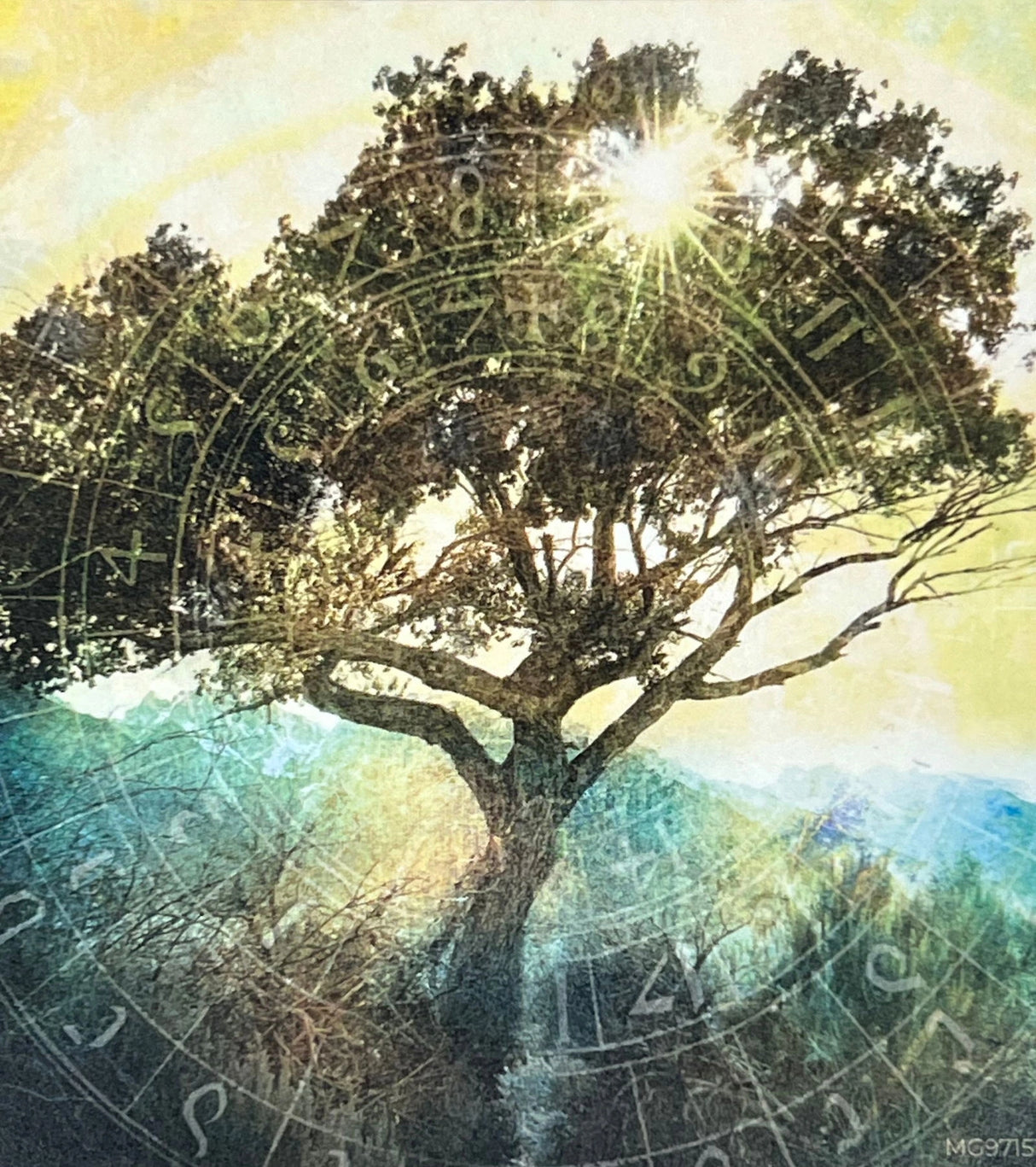 Tree of Time magnet with a tree silhouetted against a sunrise, surrounded by astrological symbols.