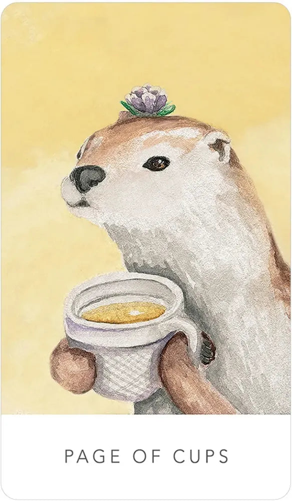 White Sage Tarot - Page of Cups