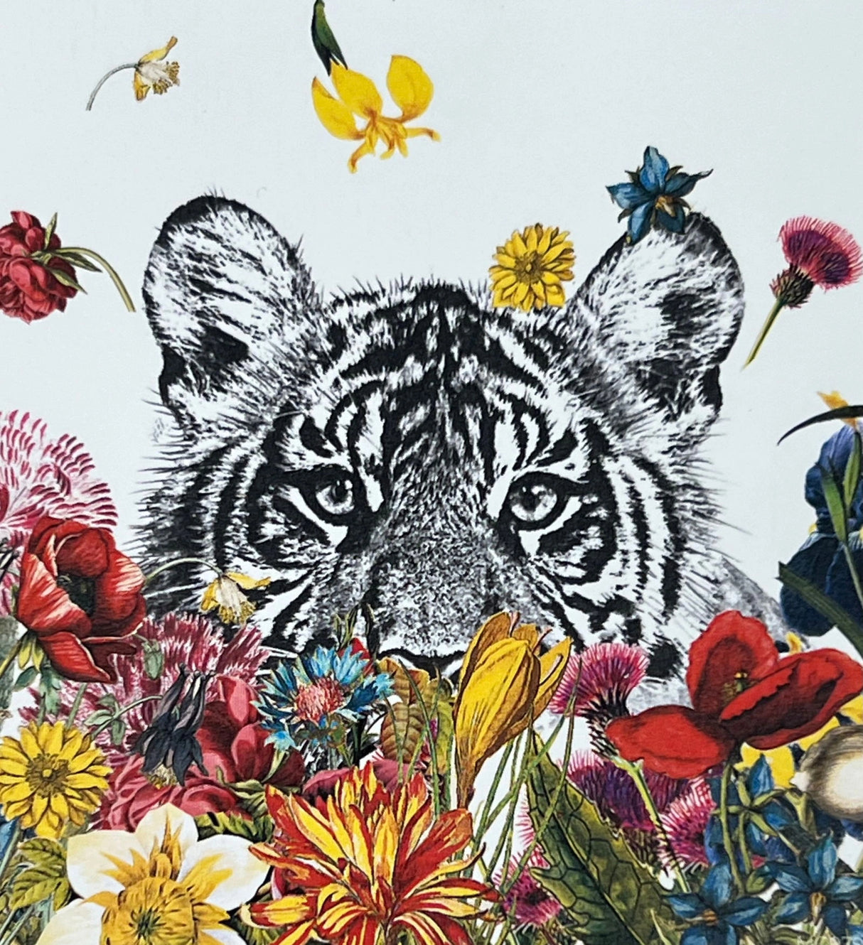 White tiger cub surrounded by colorful flowers.