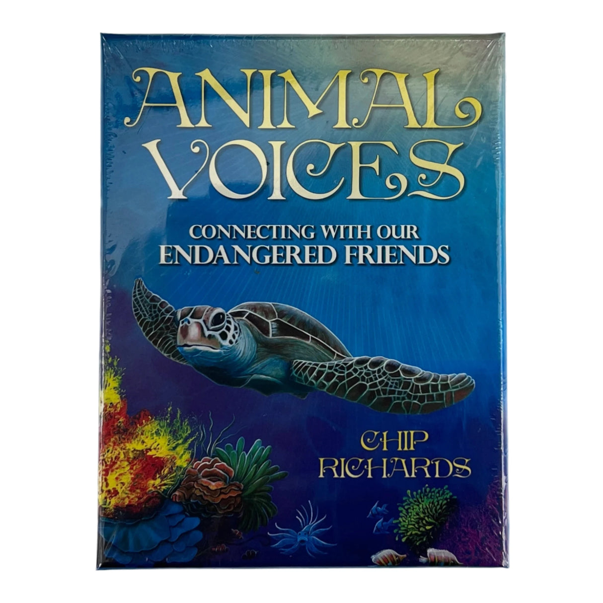 Animal Voices blue box with image of turtle
