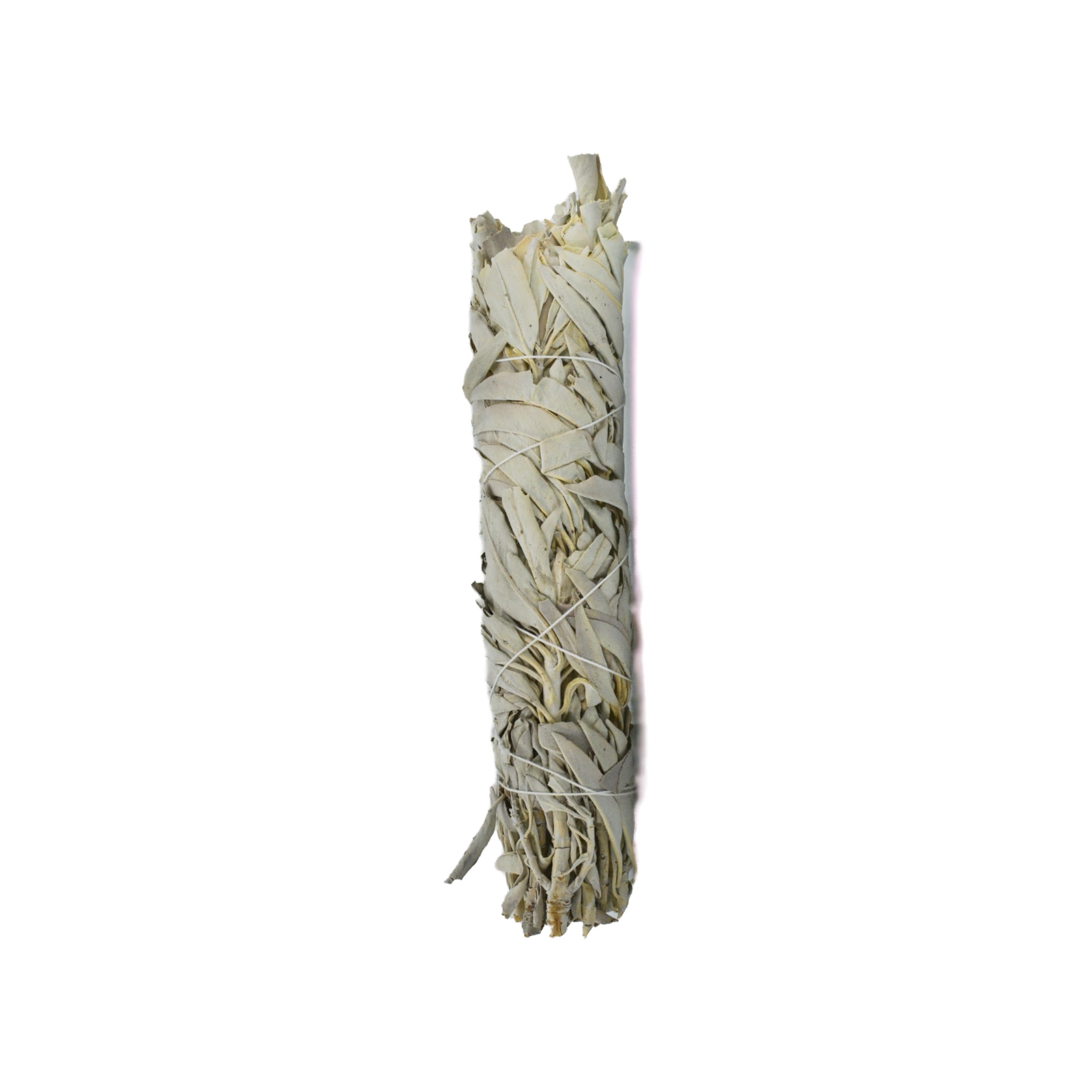 White Sage Stick 8”