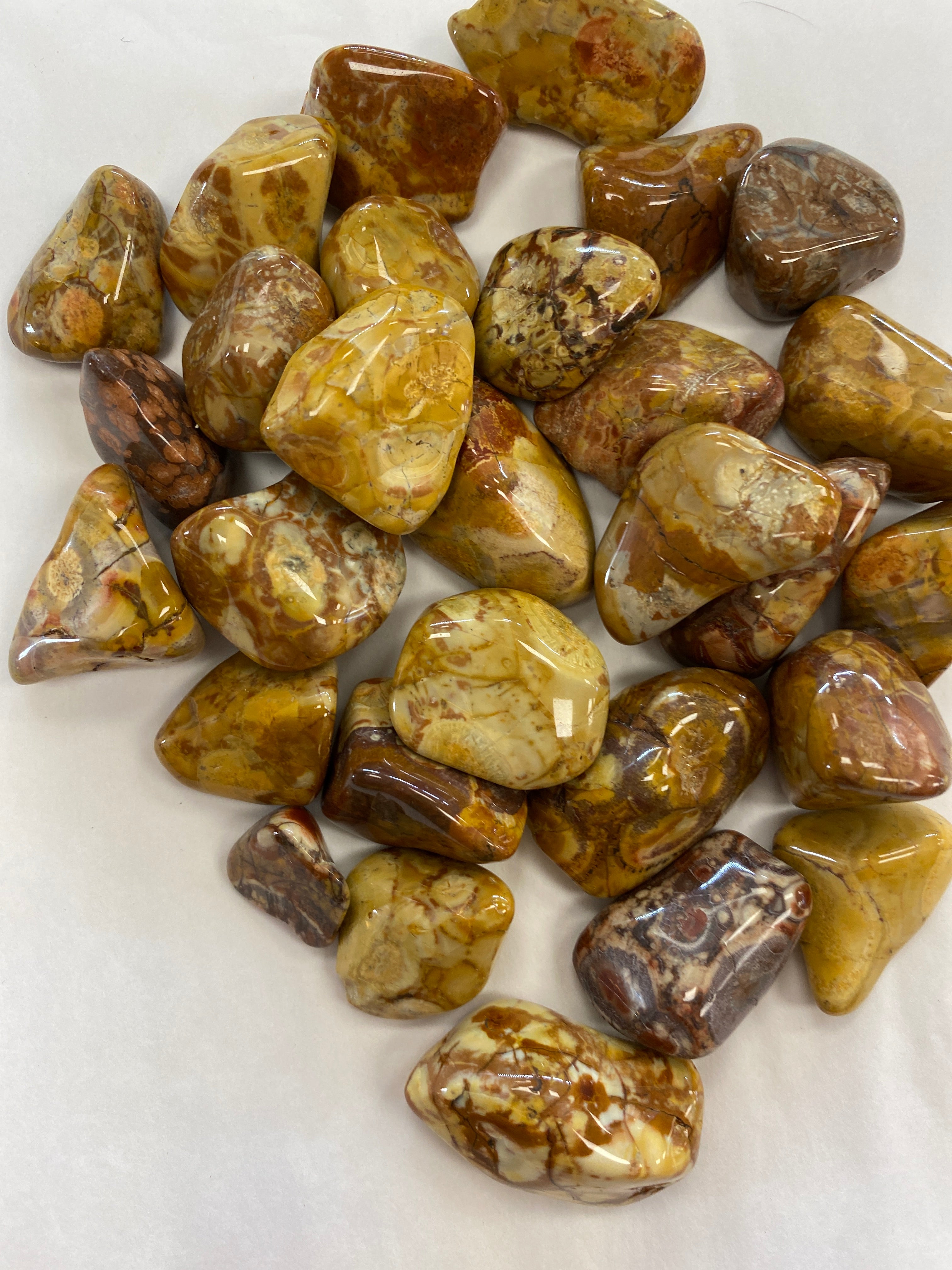 Birds Eye Rhyolite Tumbled