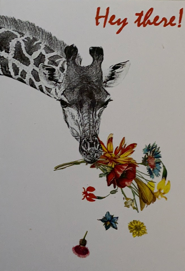 White card with giraffe eating flowers 