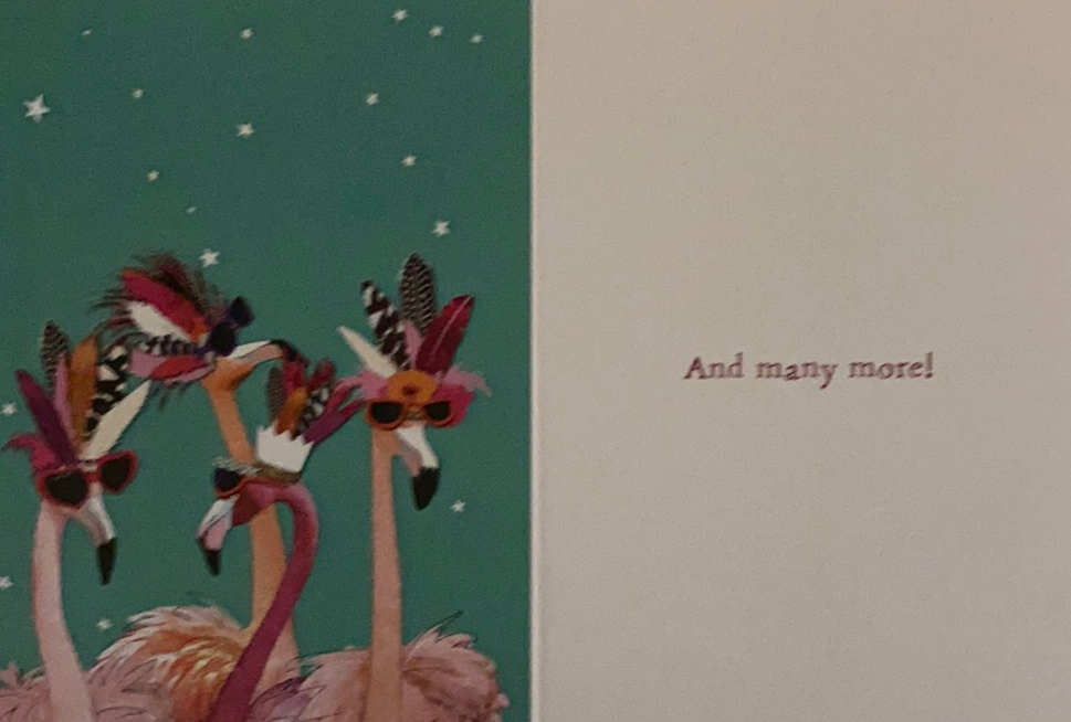 Flocking Birthday Greeting Cards