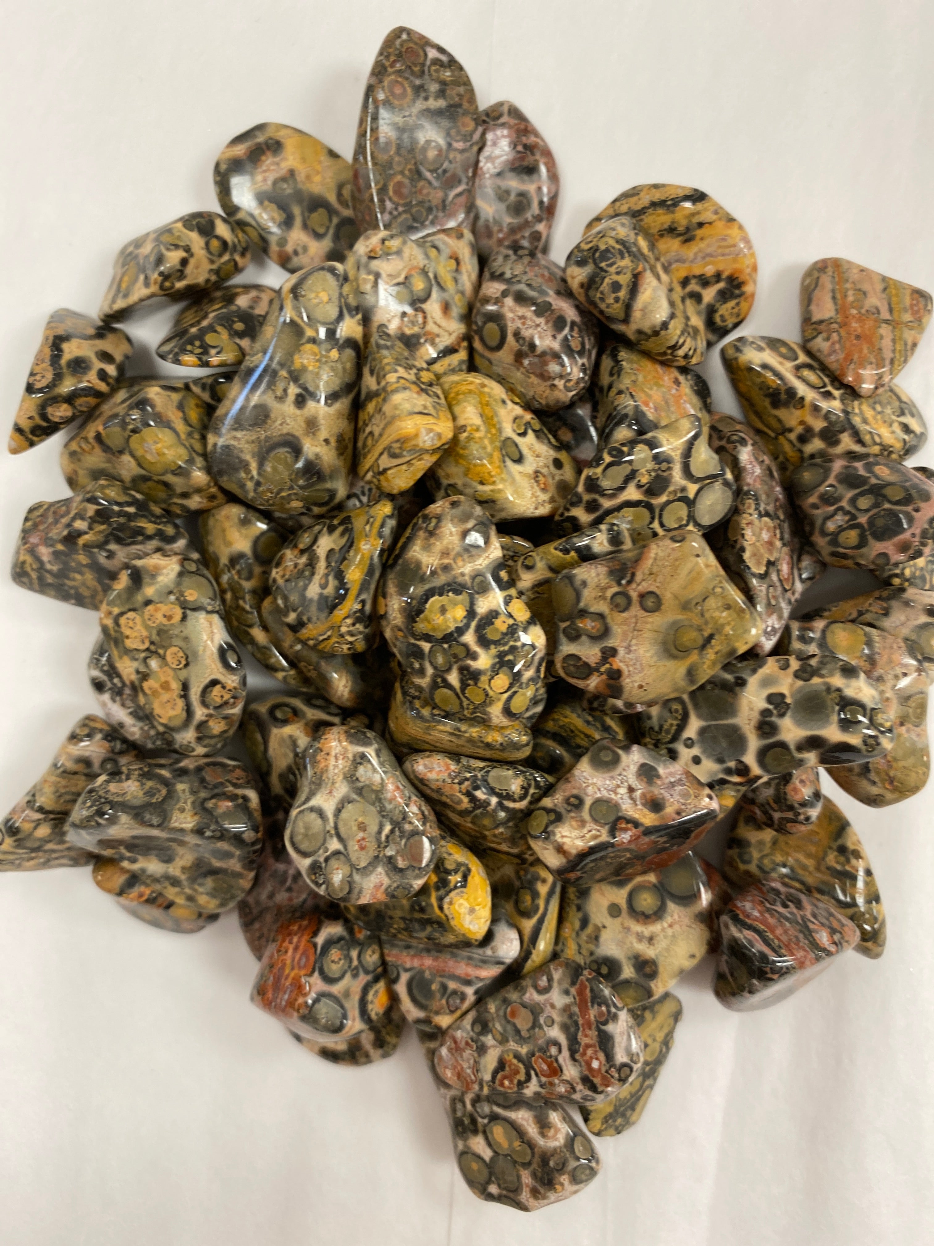 Jaguar Stone Tumbled