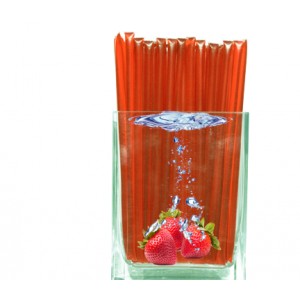 Strawberry Honey Straw.  A clear, plastic straw heat sealed at each end holding a red, translucent, strawberry honey syrup within.  