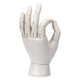 White anatomical model of a hand on a white background