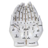 A white decorative model of two hands facing each other, printed with black astrological and zodiac symbols and labels such as Venus, Moon, Mars, Jupiter, Saturn, Pluto, and Rascette.