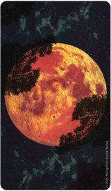 Amber Moon Tarot