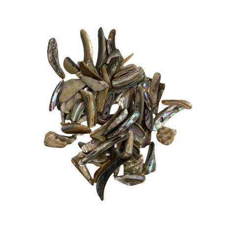 Abalone Shell Tumbled - #original_alt_text#