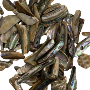 Abalone Shell Tumbled - #original_alt_text#