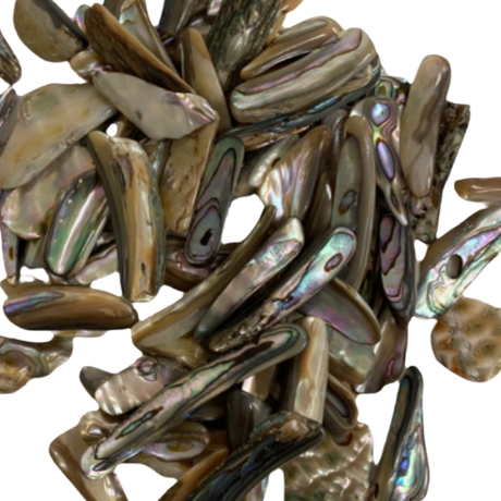Abalone Shell Tumbled - #original_alt_text#