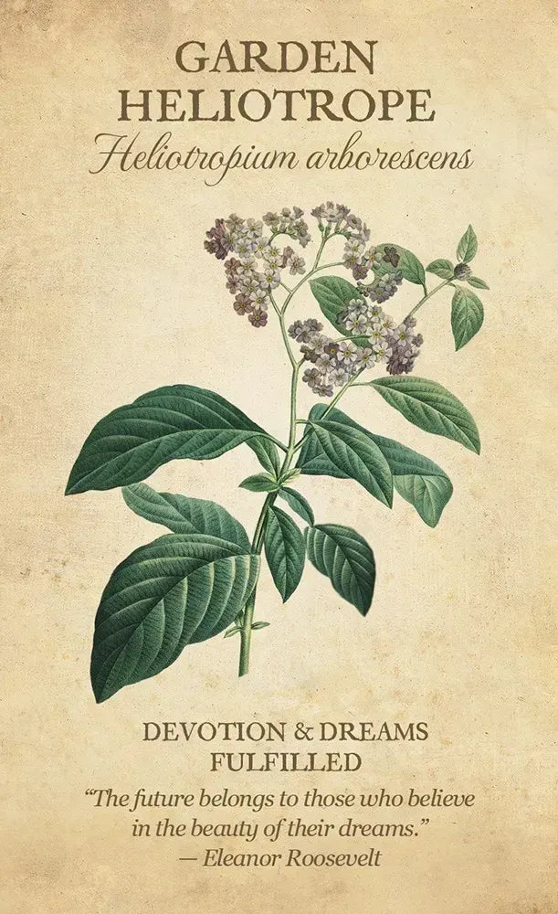 Botanical Inspirations Oracle