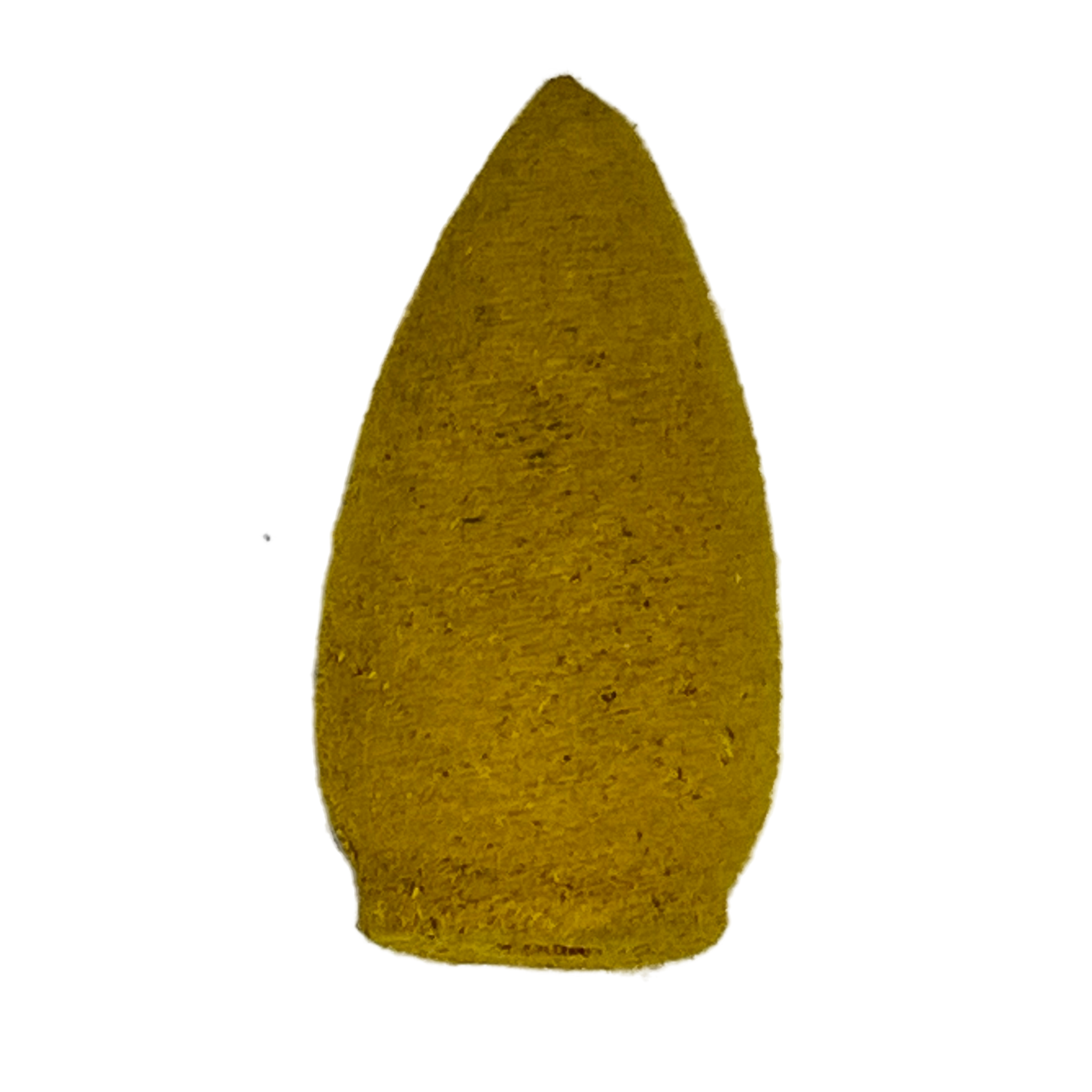 single light brownish cone 