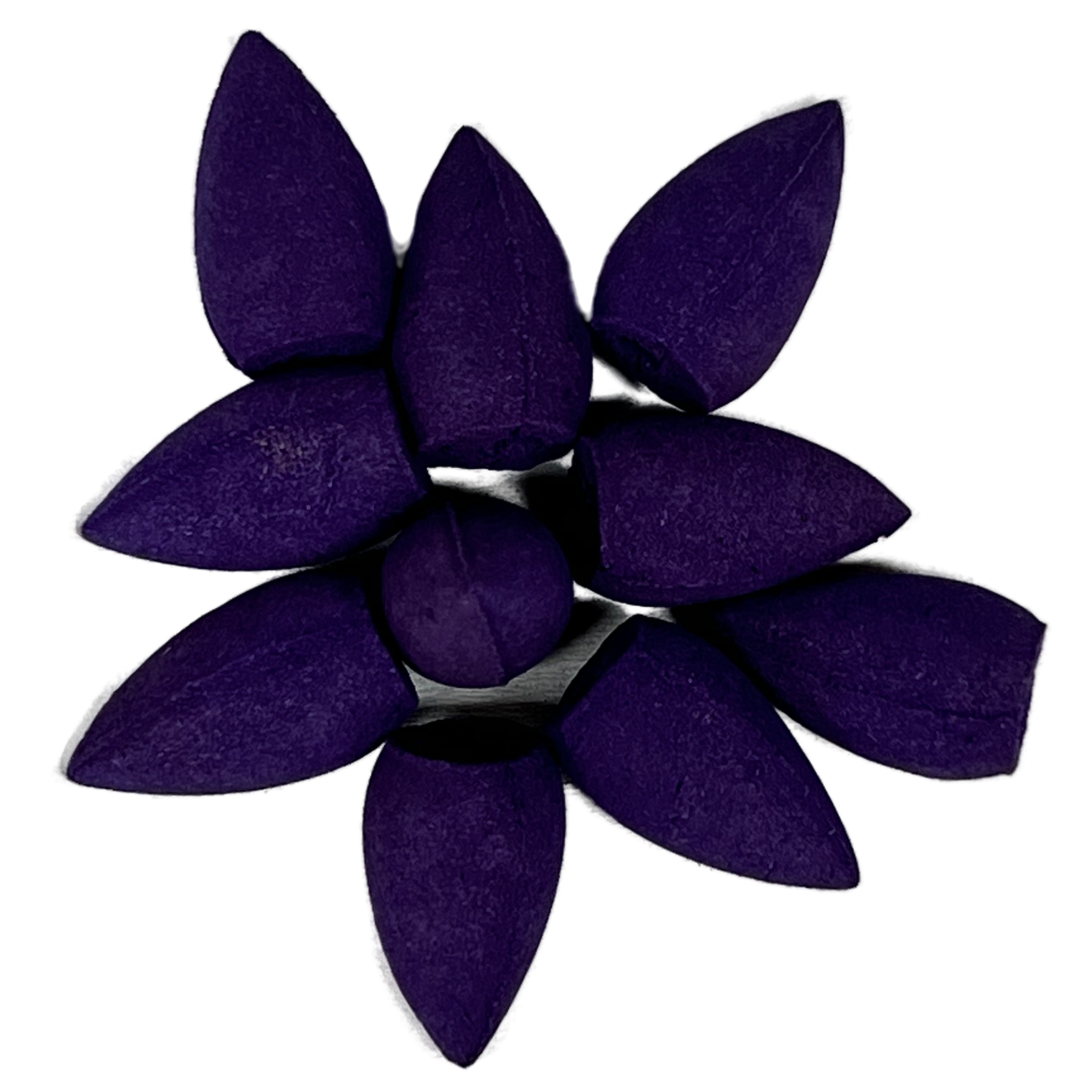 Purple Baclkflow cones 