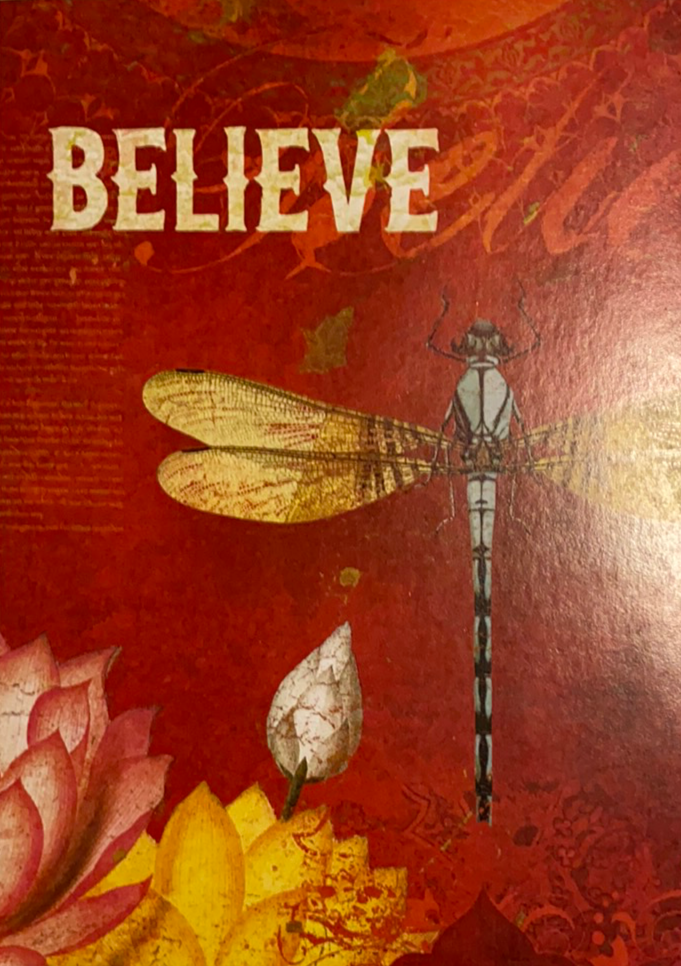 Believe Greeting Cards - Red card with flowers and a dragon fly word Believe on it 