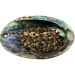 Dried Black Cohosh Root in an abalone shell.