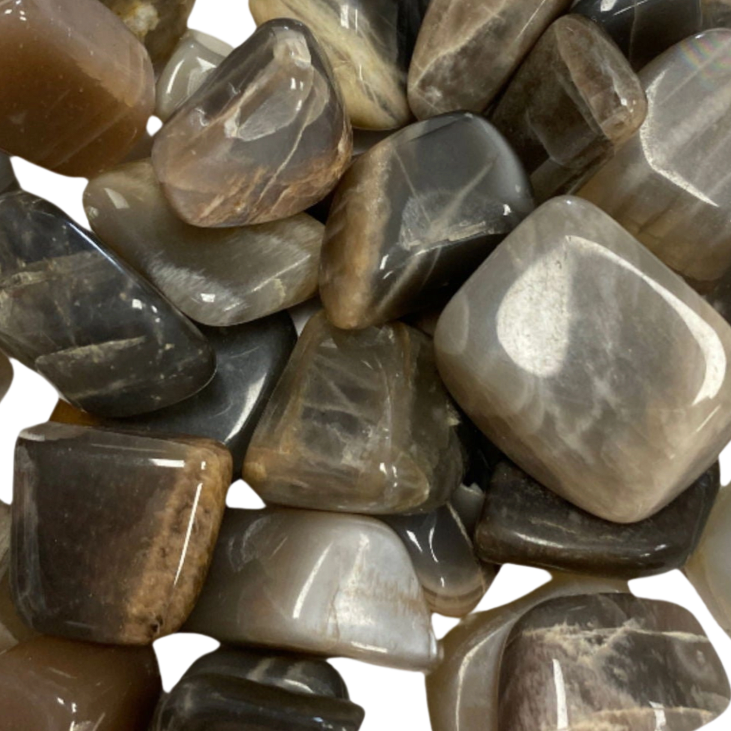 Black Moonstone Tumbled - #original_alt_text#