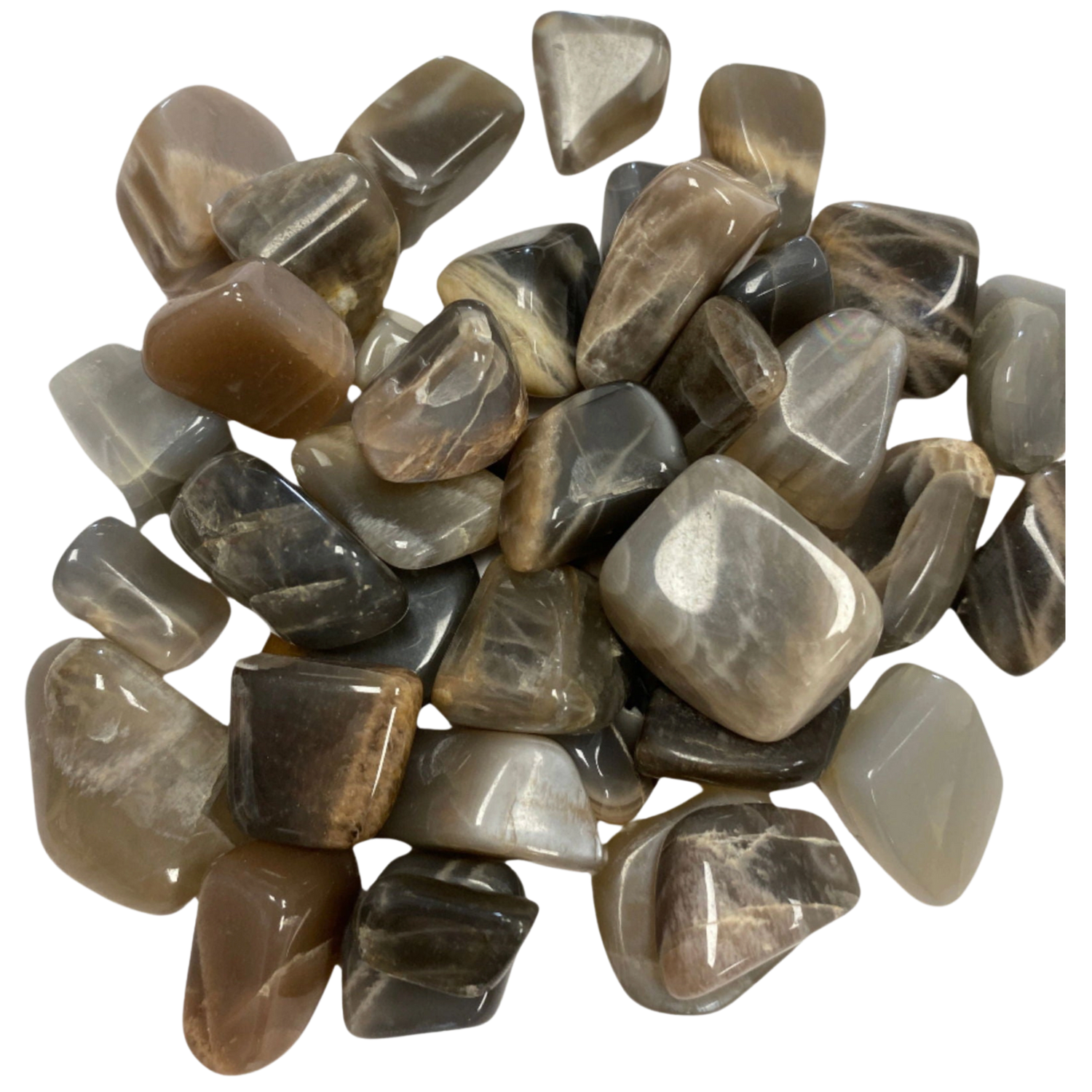 Black Moonstone Tumbled - #original_alt_text#