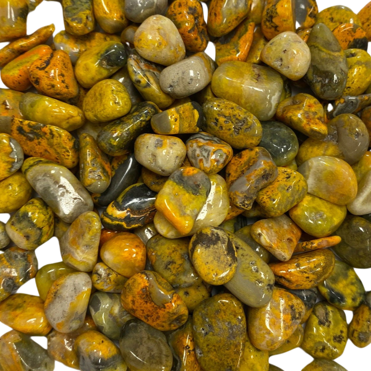 Bumble Bee Jasper Tumbled sm - #original_alt_text#