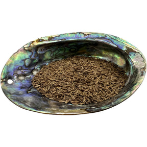 Dried Caraway Seed in an abalone shell.