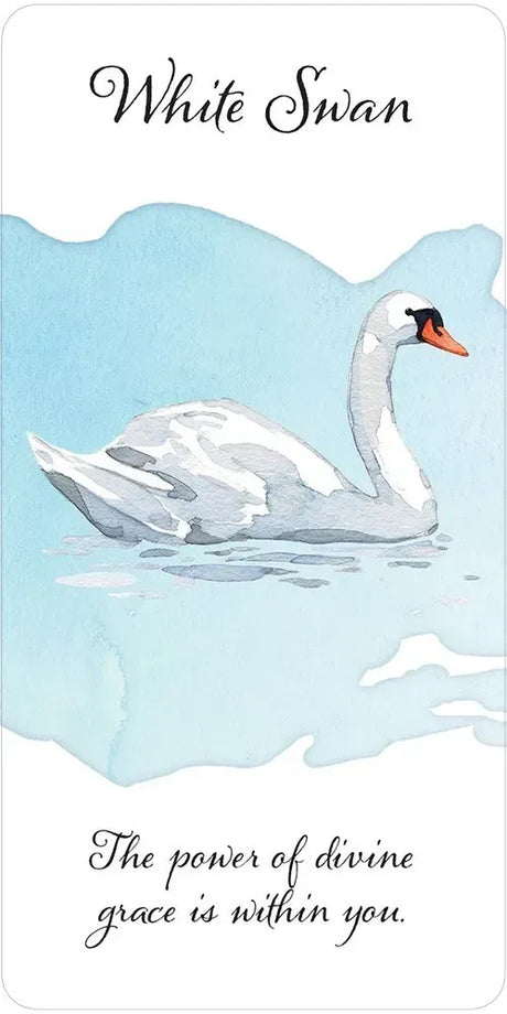 Divine Feather Messenger Oracle - White Swan