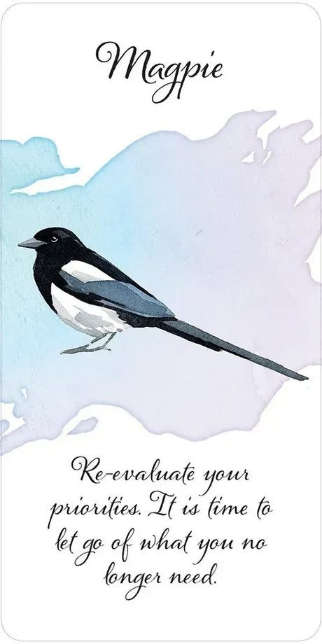Divine Feather Messenger Oracle - Magpie