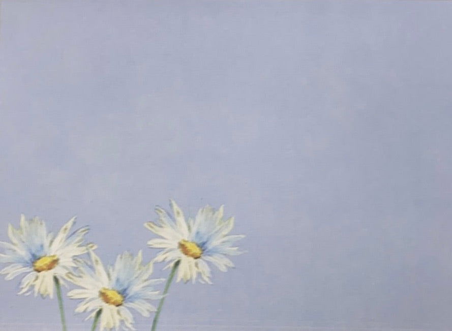 Daisies on Blue Greeting Card - blue envelope with daisies 