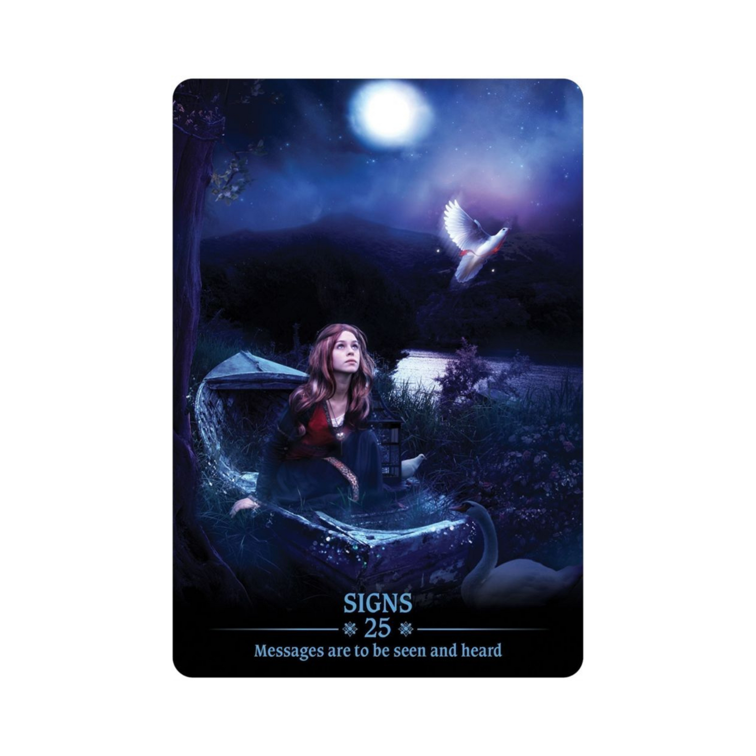 Dark Light Oracle Deck - Dark Light Oracle card - 25 - Signs