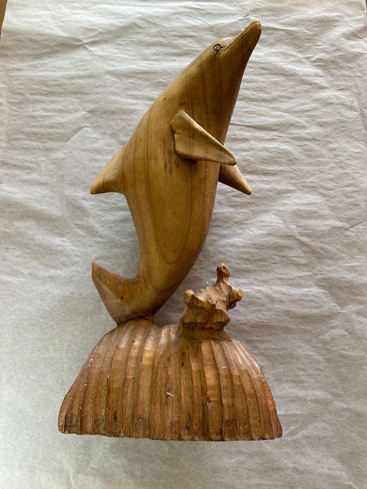 Dolphin lg - 
