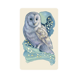 Dreamscape Oracle - Dreamscape Oracle Card Back Graphics